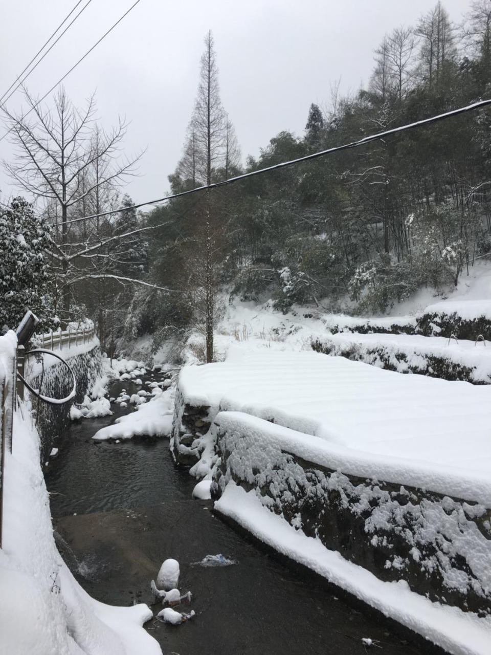 Moganshan Bamboo View Guesthouse Deqing Dış mekan fotoğraf