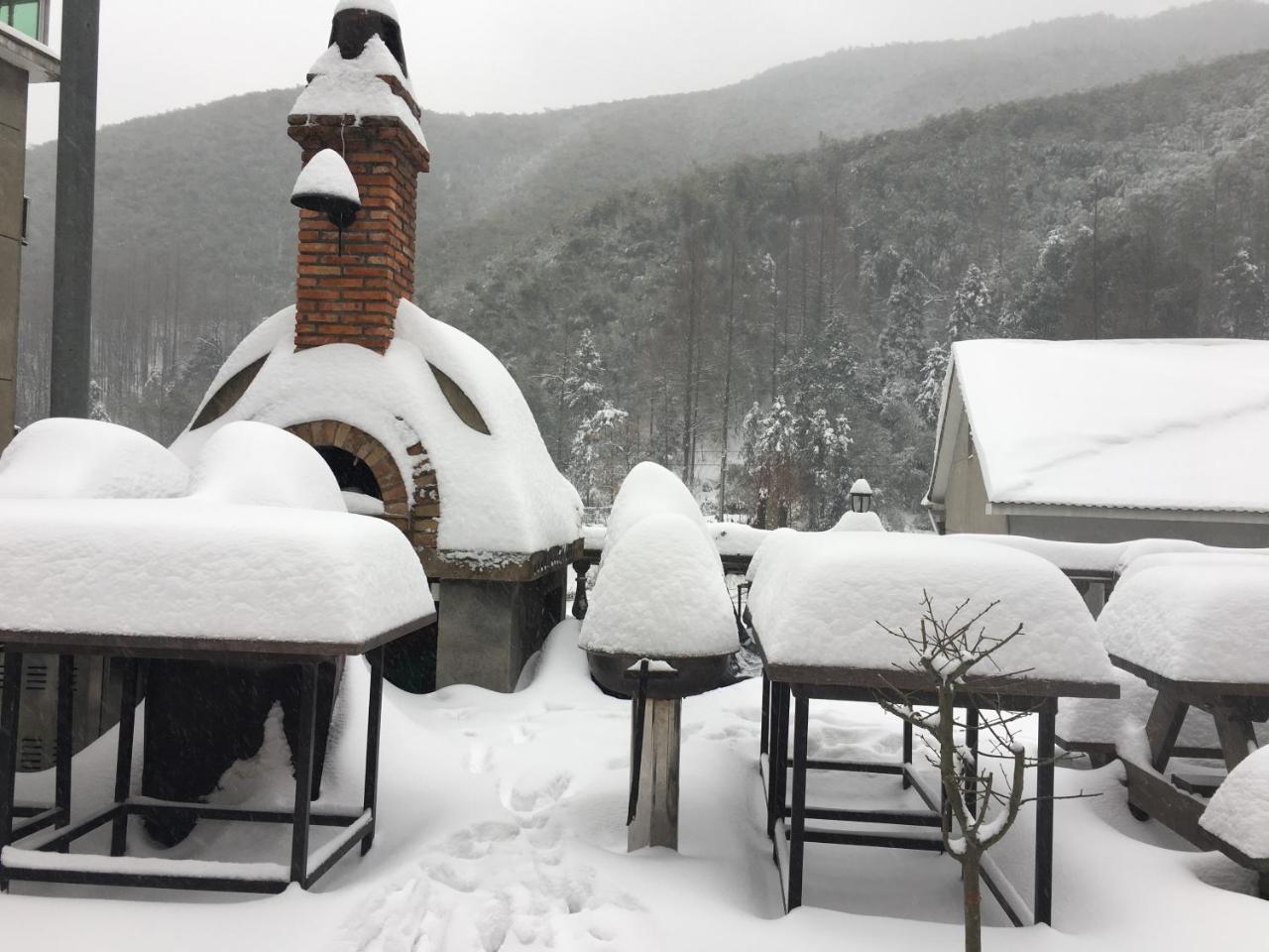 Moganshan Bamboo View Guesthouse Deqing Dış mekan fotoğraf