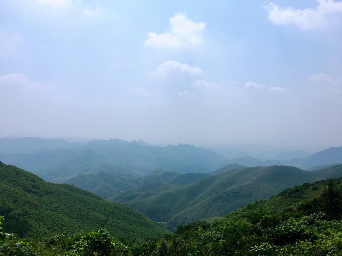 Moganshan Bamboo View Guesthouse Deqing Dış mekan fotoğraf