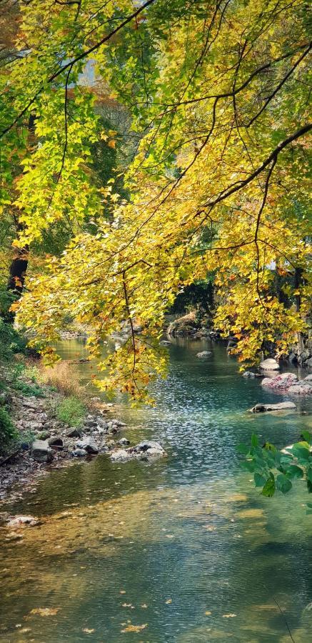 Moganshan Bamboo View Guesthouse Deqing Dış mekan fotoğraf